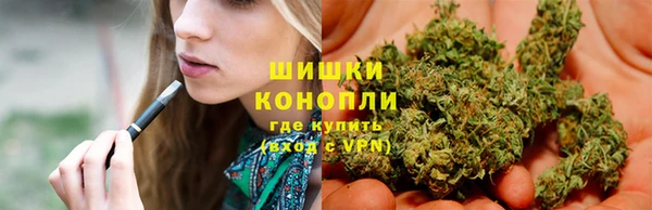 гашик Бородино