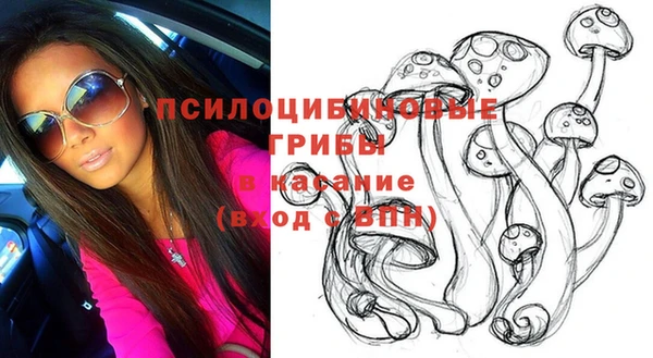 гашик Бородино