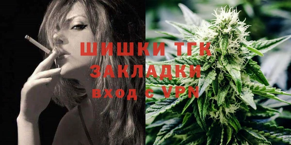 гашик Бородино