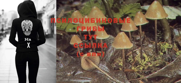 мдпв Бугульма